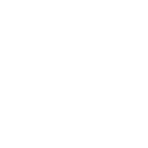 DUMITRUCIORICI.COM