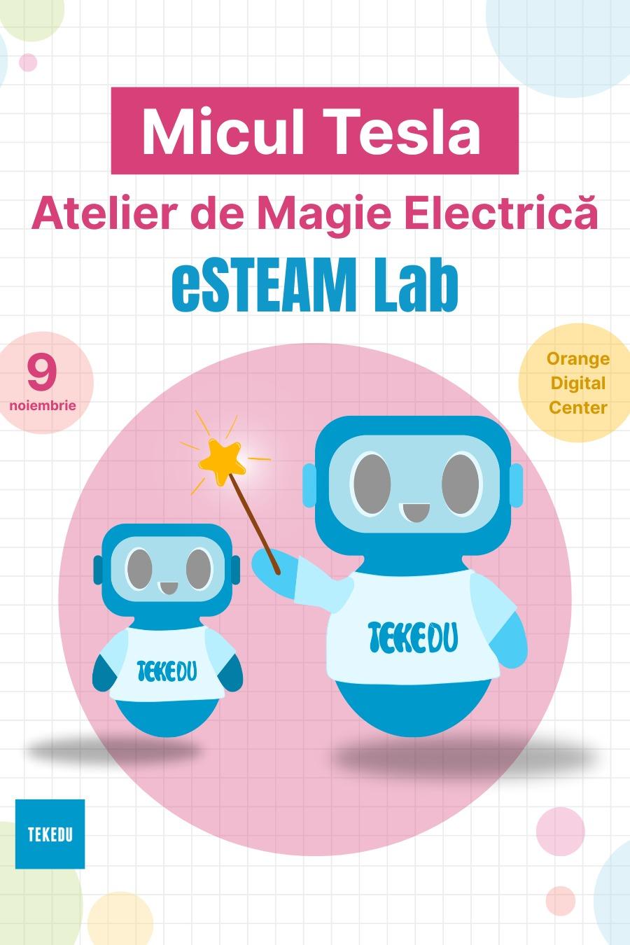 Micul Tesla – Atelier de Magie Electrică