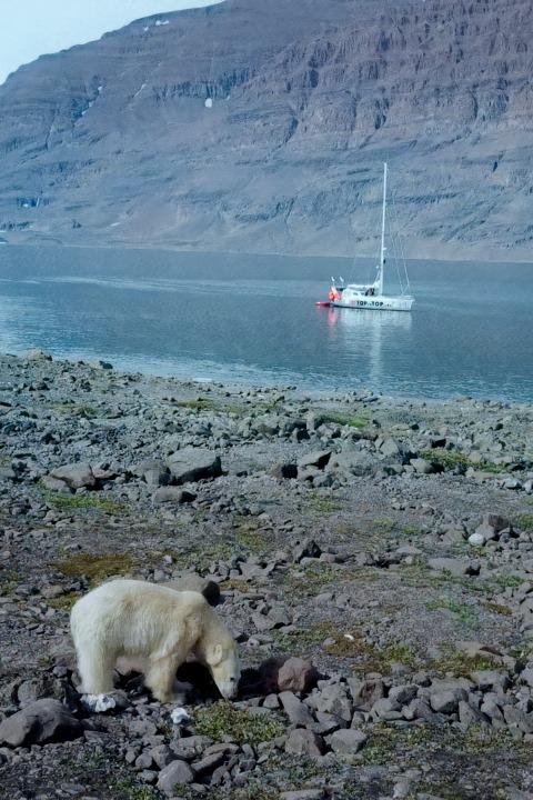 OCEANUL – CASA NOASTRĂ / HOME IS THE OCEAN, Elveția, 2024