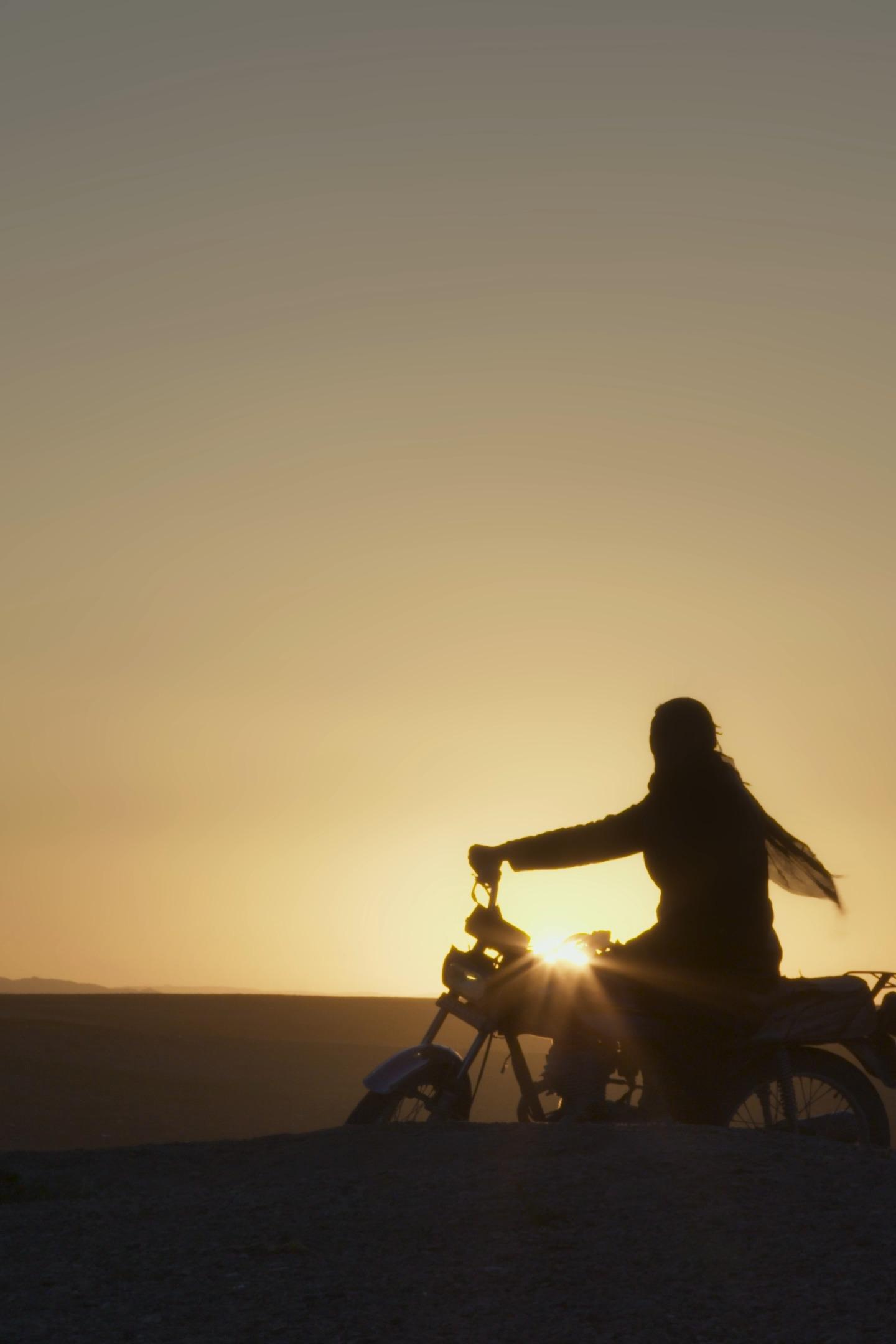 TRĂIND PRIN STÂNCI / CUTTING THROUGH ROCKS, Iran, Regatul Țărilor de Jos, SUA, 2025