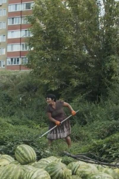 FLORILE UCRAINEI / FLOWERS OF UKRAINE, Polonia, Ucraina, 2024