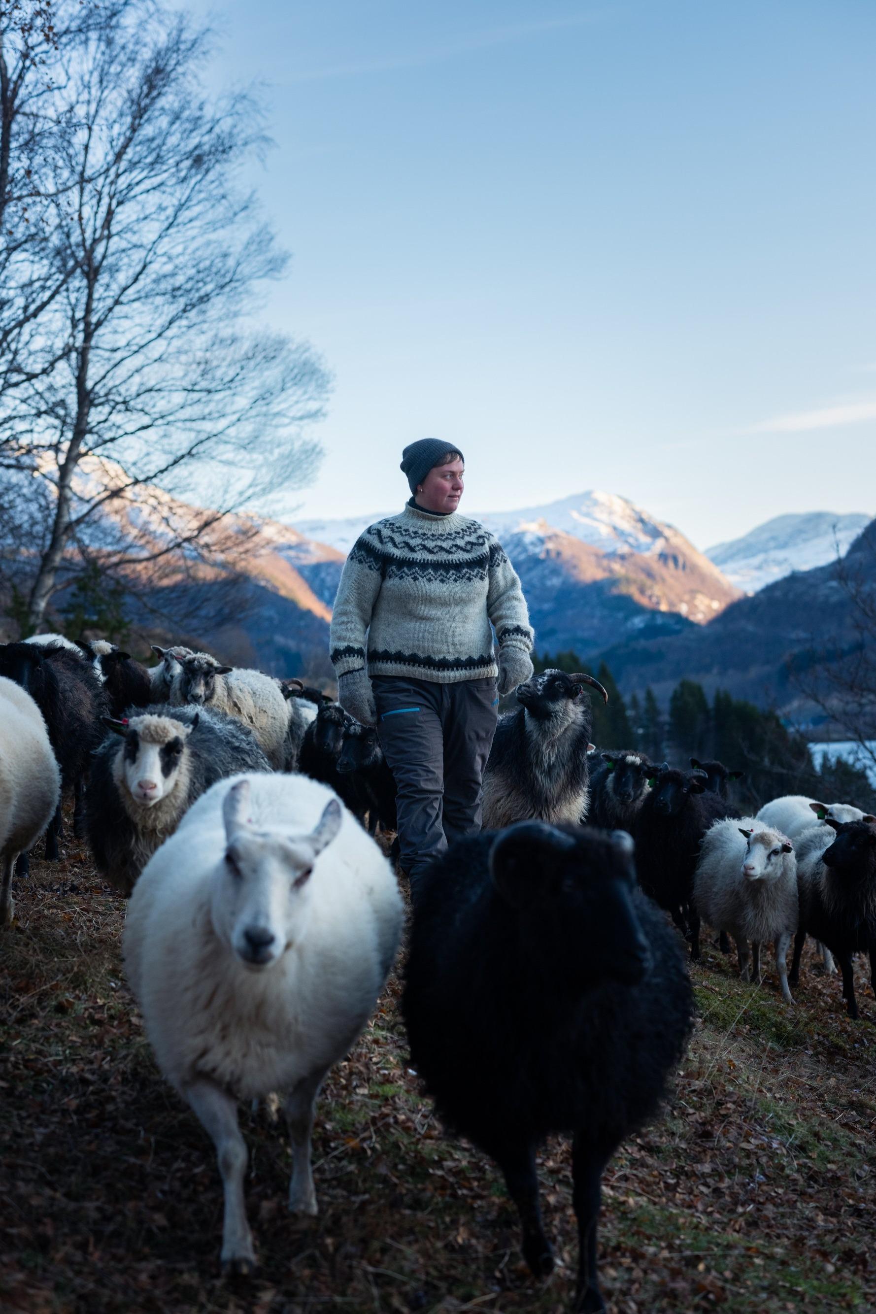 WOOLLY, Norvegia, 2024