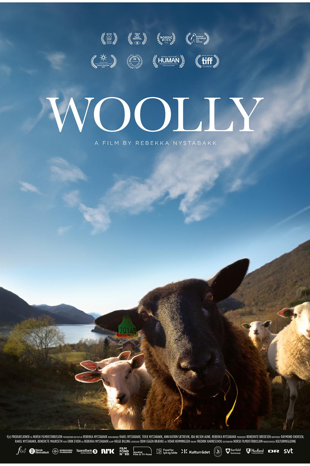 WOOLLY, Norvegia, 2024