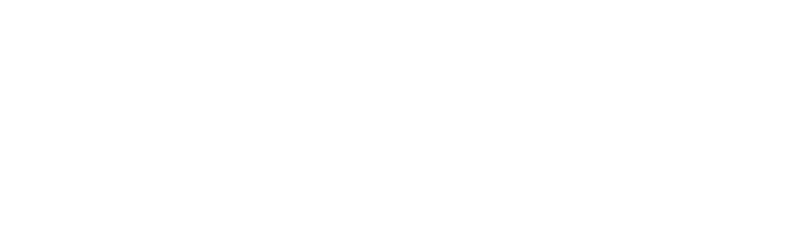 Horizon Capital