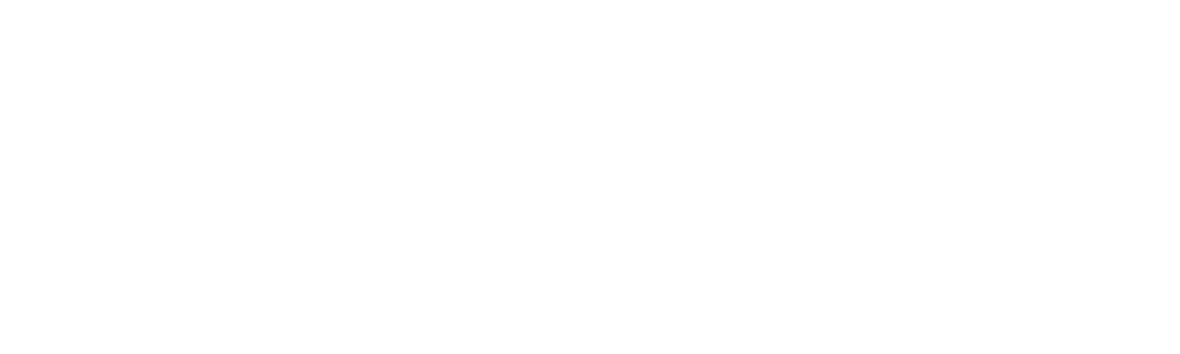 Business Angels Moldova