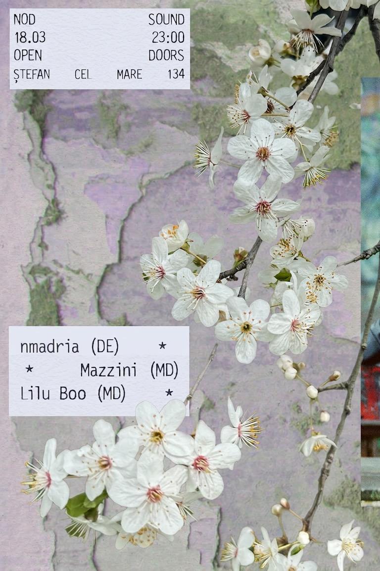 NØD SOUND: nmadria, Mazzini, Lilu Boo