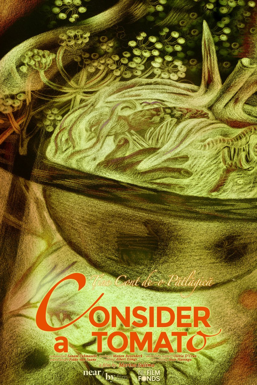 ȚINE CONT DE-O PĂTLĂGICĂ / CONSIDER A TOMATO, Regatul Țărilor de Jos, 2024 