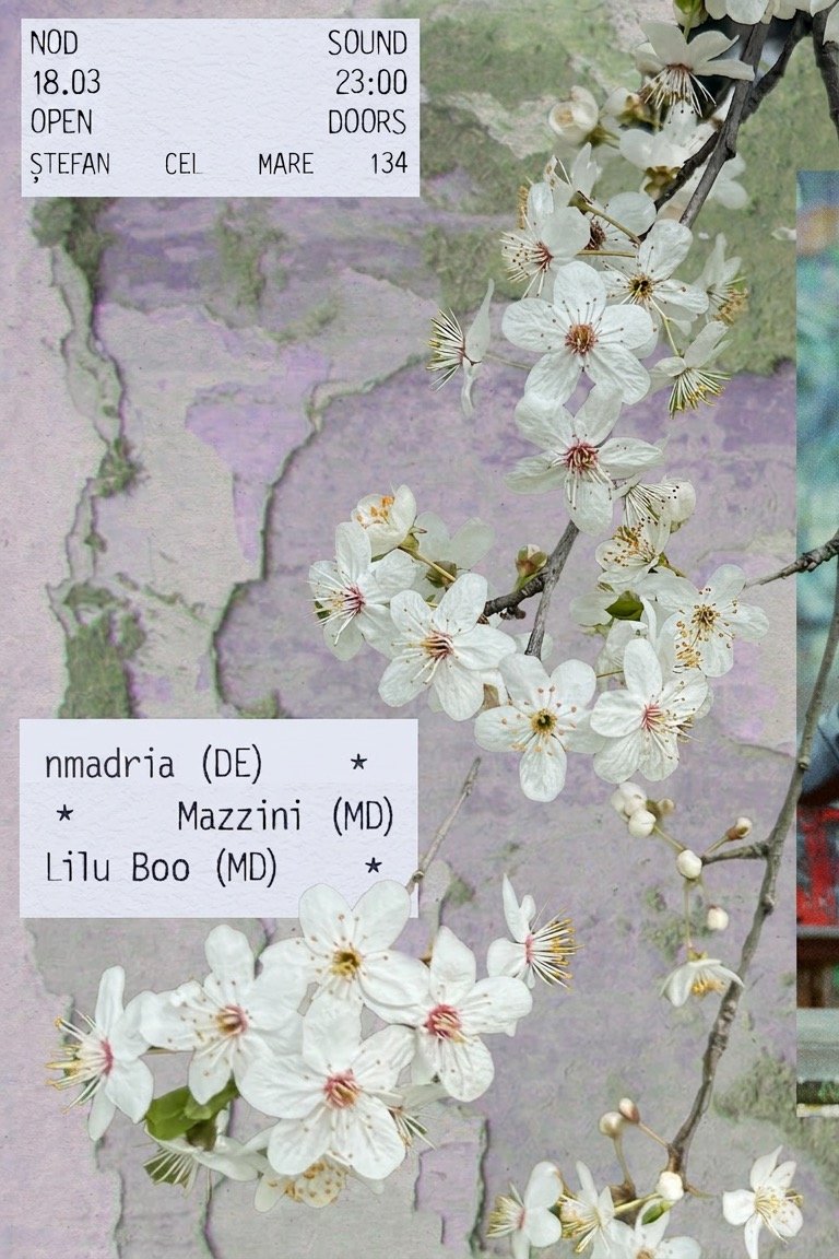 NØD SOUND: nmadria, Mazzini, Lilu Boo